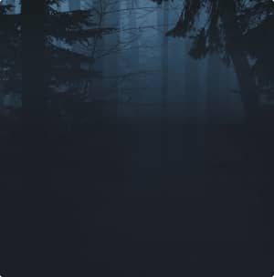 صورة 3